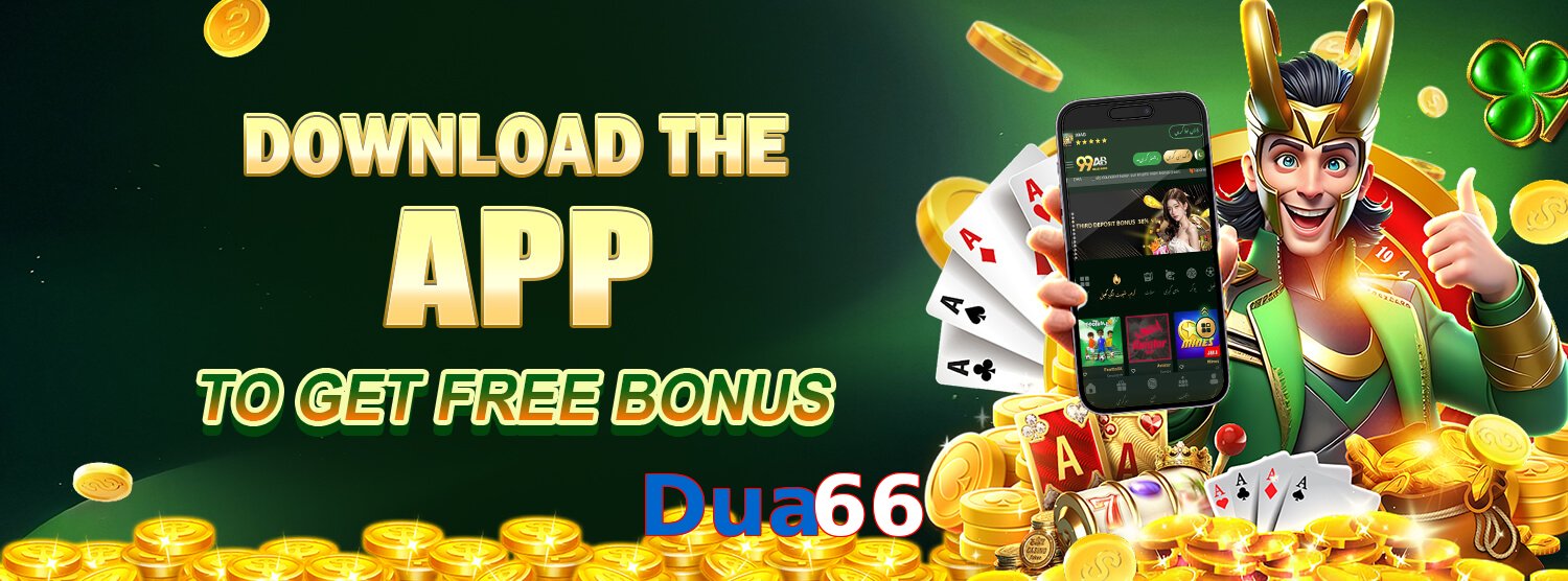 Dua66 interface sample